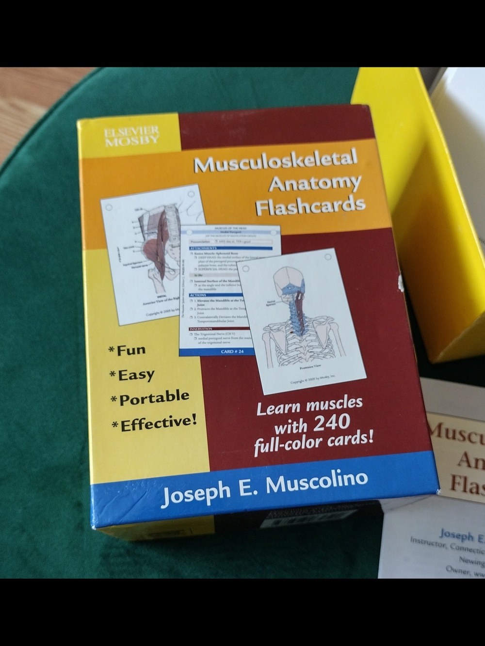 Musculoskeletal Anatomy 240 Flashcards Student Medical